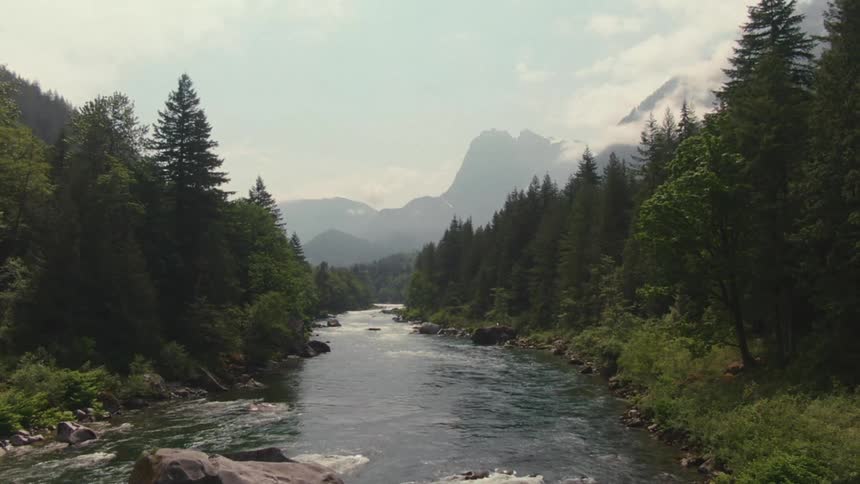 A river flows between dense evergreen forests with distant mountains rising in the background