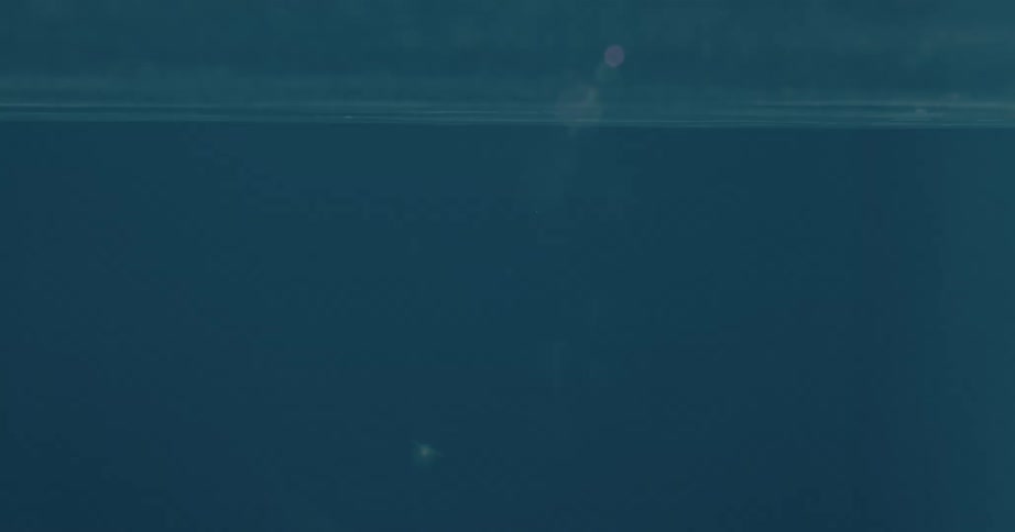 Gentle ripples of a swimming pool