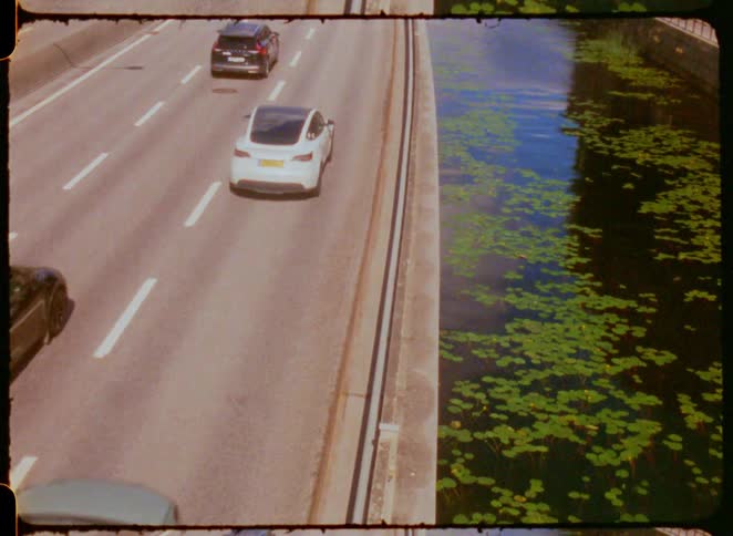 Cars drive along a road next to a canal with water lilies
