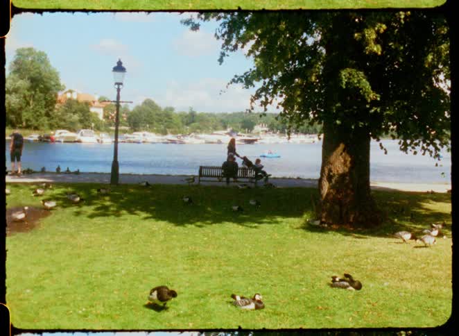 People are walking and sitting in the park