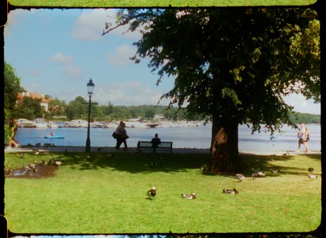 People walk on a path and ducks walk on the grass in a park by the water with buildings in the background