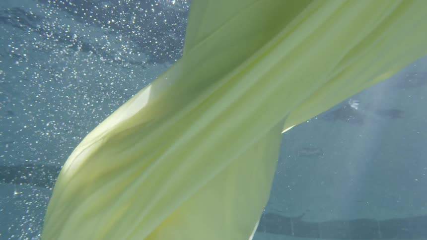 A woman in a yellow dress swims in the water