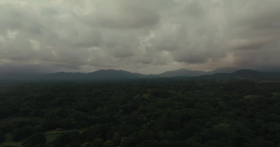 An aerial shot of a large forest