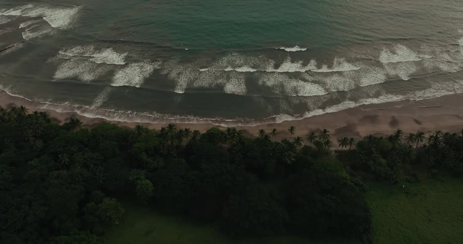 An aerial shot shows a beach with a lush green forest at the edge of the sand waves with white foam crash onto the shore the camera is stationary showing the waves rhythmically rolling in