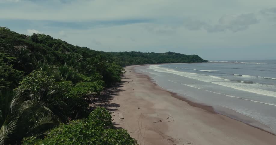 The video shows a coastline with a beach waves and trees under a sky
