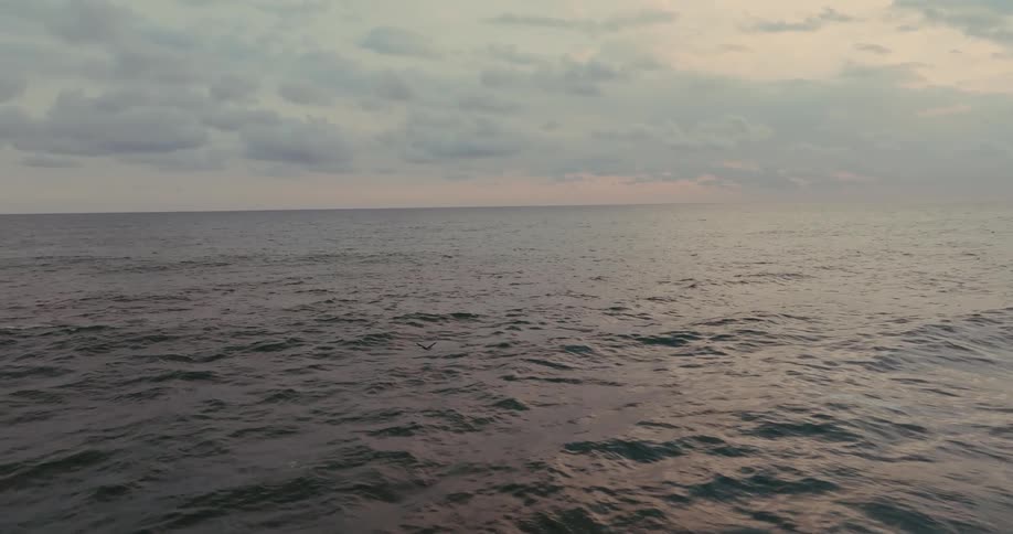 A low aerial view of the ocean shows small waves and lone bird flying above the water on a cloudy day with a bright sunset on the horizon