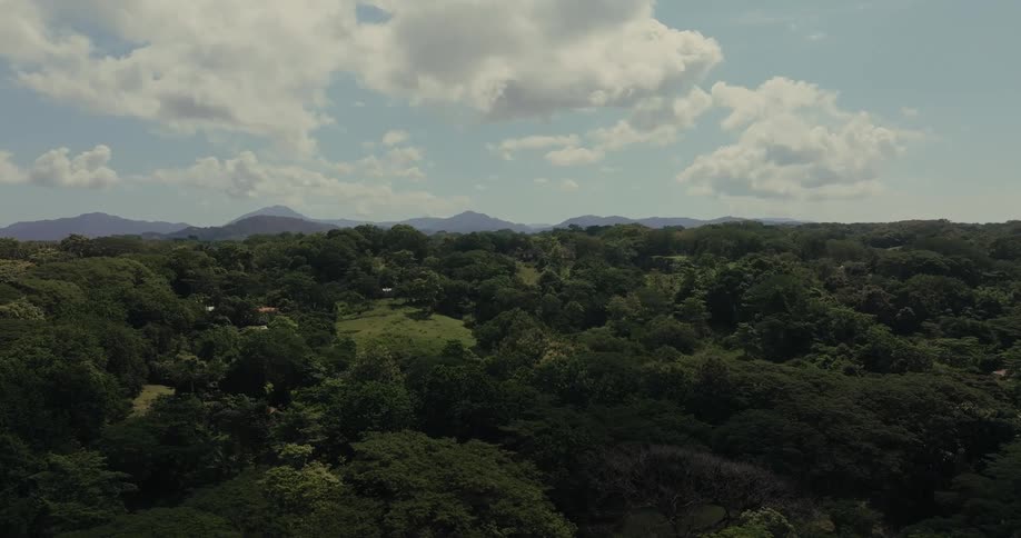 Aerial landscape of a forest area during the day