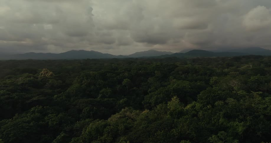 Aerial panorama of a forested area with the silhouette of mountains on the horizon