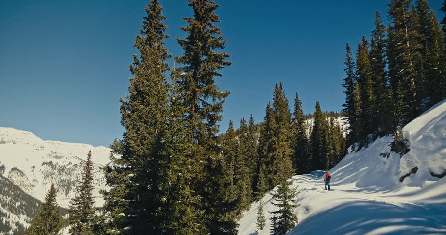 A person on skis walks up a snowcovered mountain surrounded by trees on a sunny winter day
