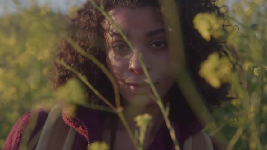 Woman with a backpack looks through yellow flowers in a field
