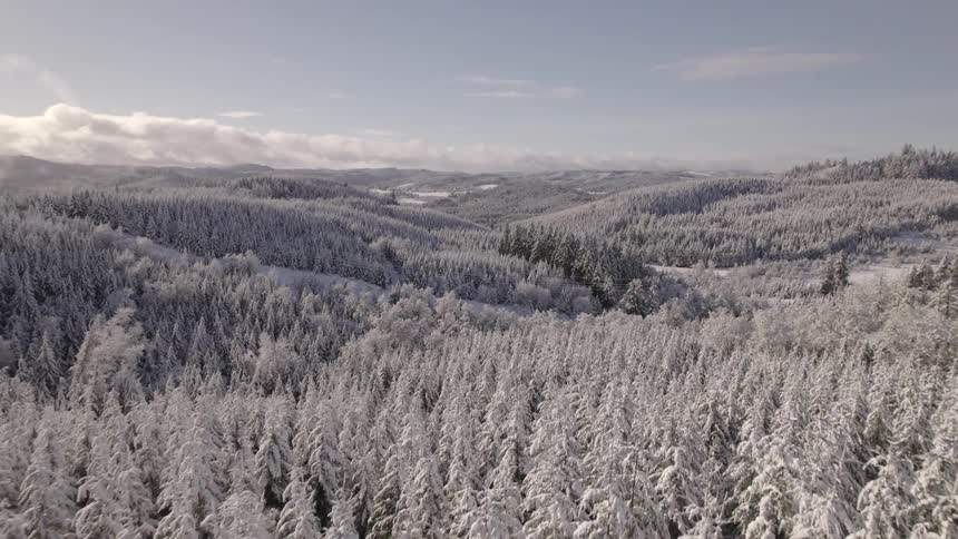 An aerial view shows a vast snowcovered forest covering rolling hills and valleys the serene winter landscape is bathed in bright sunlight under a partly cloudy sky