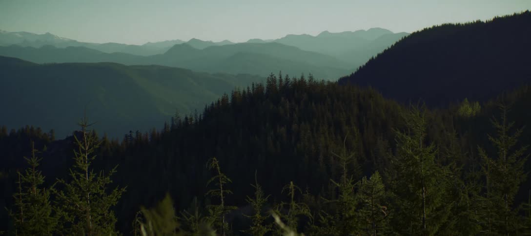 A slow pull back shows a view of tall dark green pine trees in a hilly area with layered mountains in the distance and a pale blue sky in the background