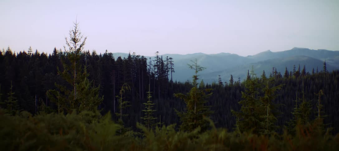 The video shows a forest with a mountain range in the background under a cloudy sky