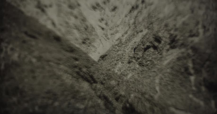Abstract closeup on sandy terrain