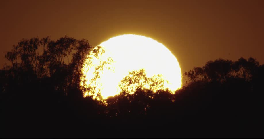 The sun rises over the trees
