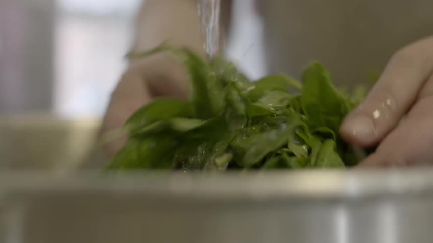 Basil leaves are washed in a sink