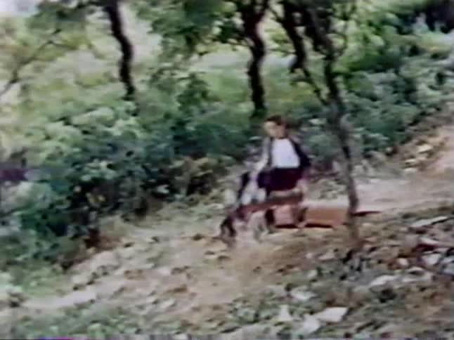 A boy rides a cart down a steep hill