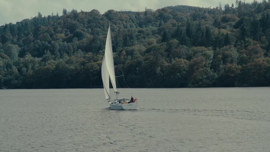 A sailboat sails on a body of water in front of a shoreline with trees