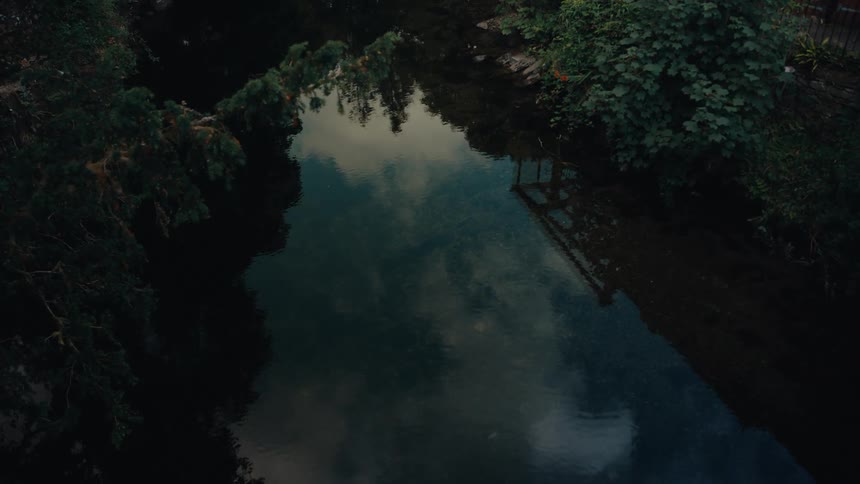 A calm river reflects the cloudy sky amid dense green trees