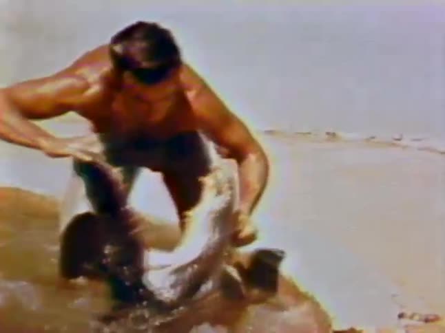 A man wrestles an alligator