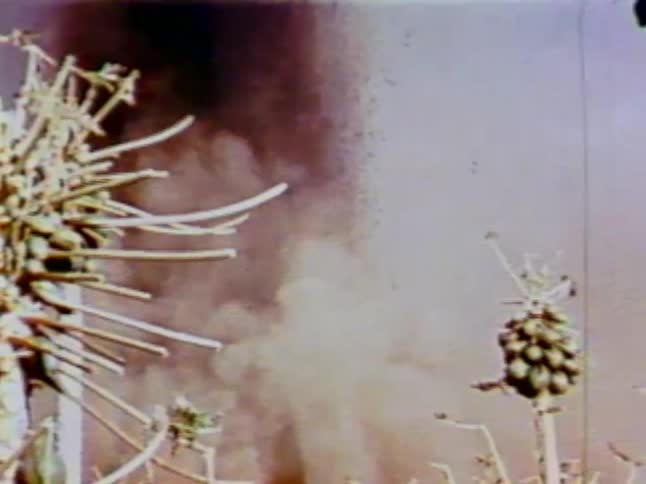 Smoke rises into the air in the distance