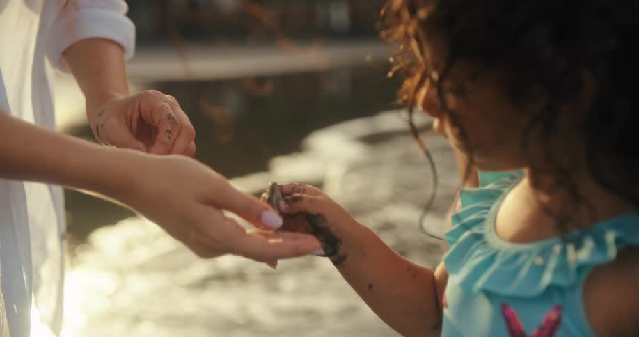 A persons hand gives a shell with sand to a childs hand on a beach near water