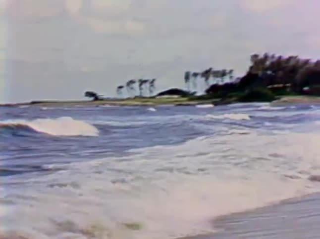 A child charges into the waves of the ocean
