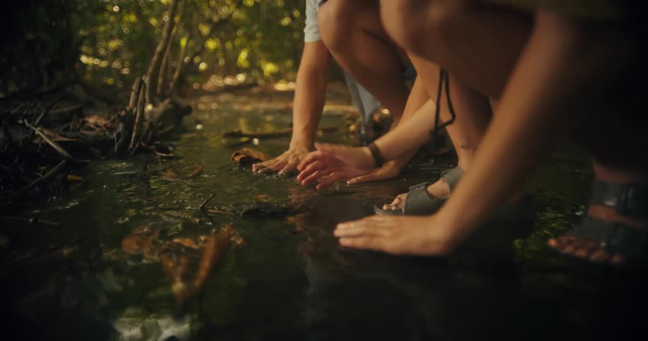 Two childrens playing with water and putting hands on leaves in a forest setting