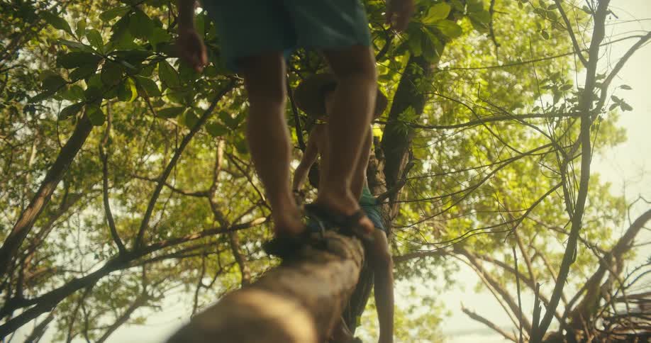 A male teenager walks and sits on tree branch with a male child outdoors during daytime