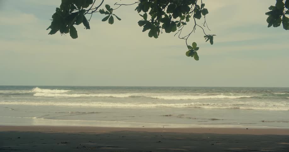 Gentle waves roll onto a sandy beach under a hazy sky with the silhouette of tree branches framing the top of the tranquil scene
