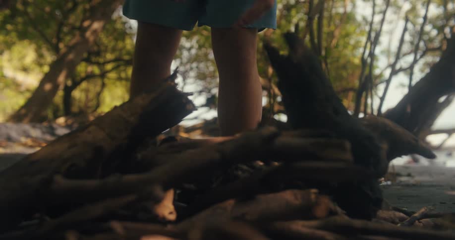 Two boys walk toward the camera with a large piece of wood and then place it on a pile of other pieces of wood on the ground
