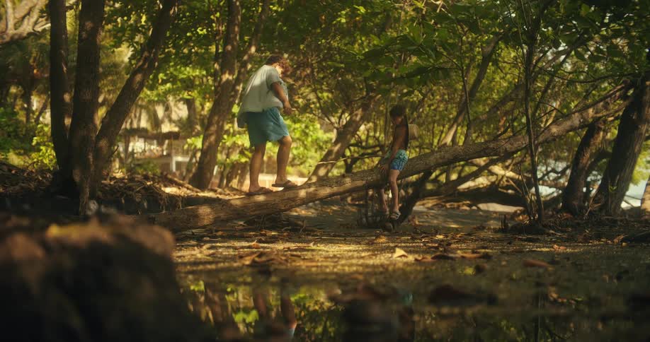 A child sitting on a fallen tree trunk in a wooded area and a teenager walking on the trunk toward the boy