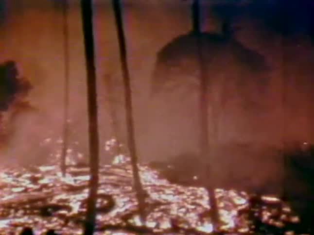 Lava flows over land burning palm trees