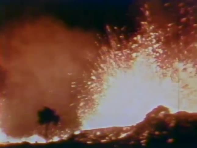 An explosion of fire burning many trees