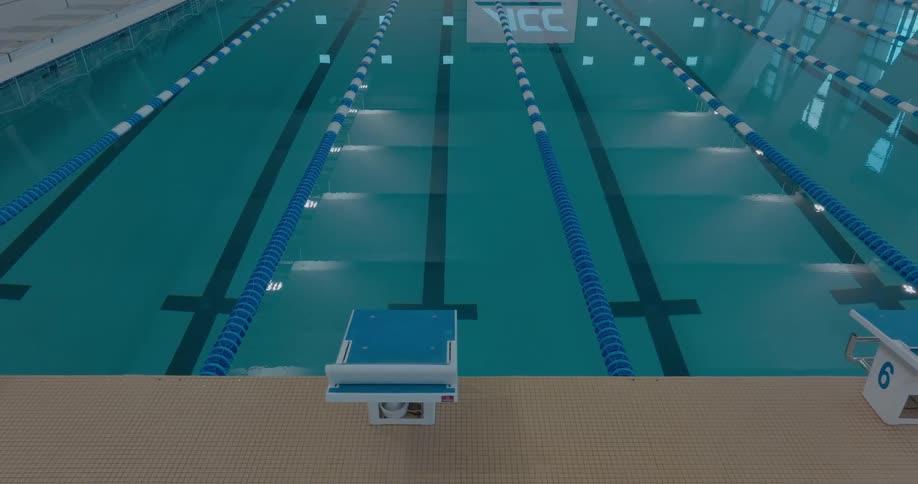 Olympic swimming pool with blue lanes and numbered starting blocks at the edge