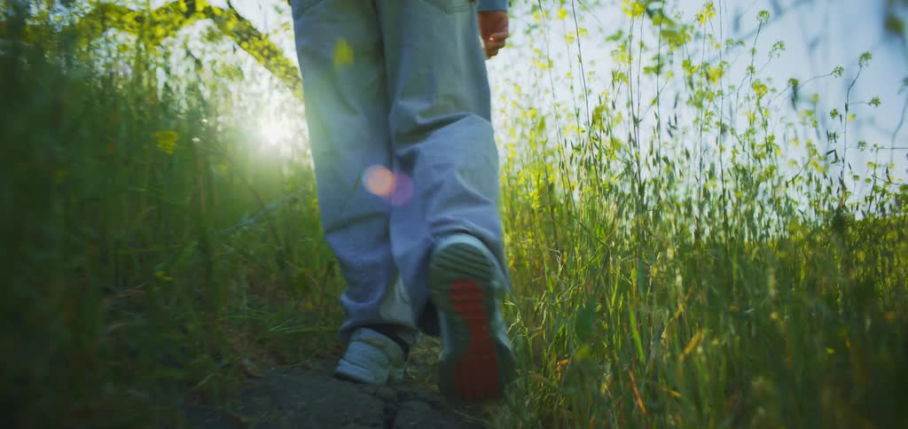 A person walks through a field