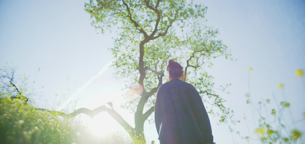 A person walks away from the camera through a field with plants and a tree