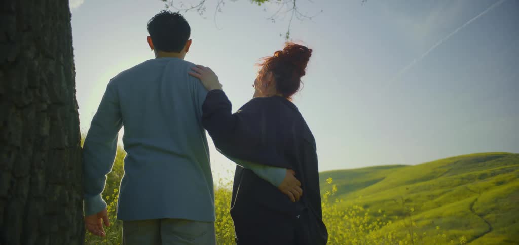A shot focuses on a man and a woman as they walk away from the camera holding hands in a field of green grass with sunlight streaming through the trees they walk slowly and gracefully with the sun creating a lens flare in the shot
