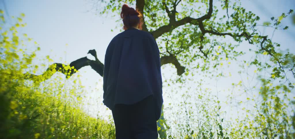 Person walks among yellow flowers with the sun shining in the background