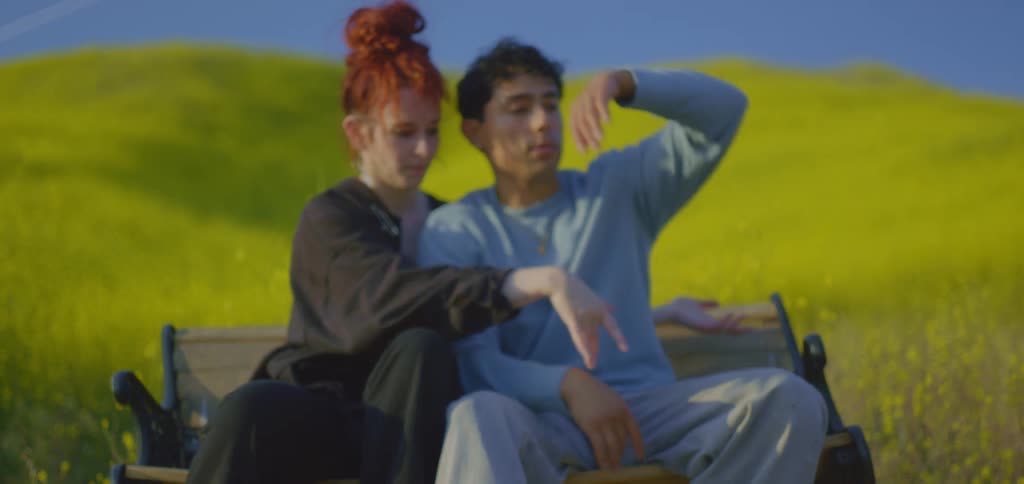 A shot focuses on a couple sitting on a wooden bench located in a field of yellow flowers the man is looking at the woman as she gestures with her hand in a playful manner