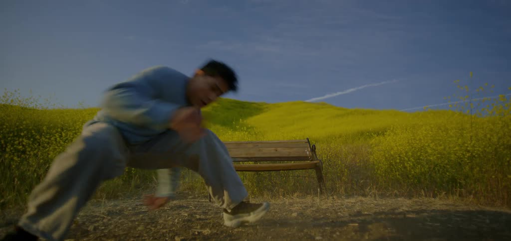 A person dances on the ground in front of a bench with a field of flowers and a sky in the background