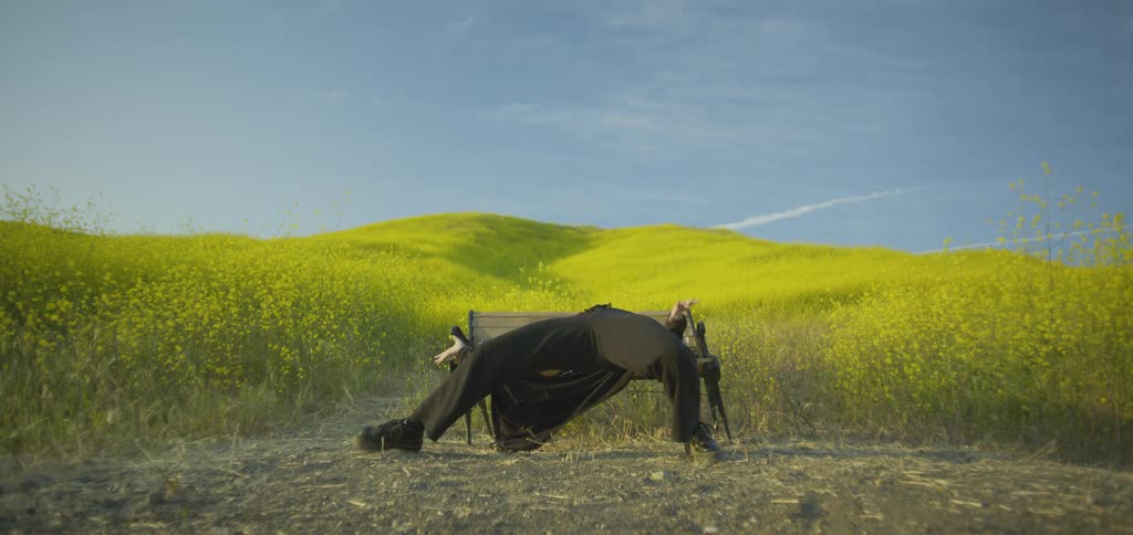 Redhaired person dances alone on a bench in the field surrounded by yellow flowers