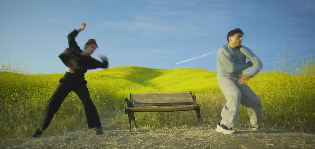 A man and a woman dance with expressive movements in a field of bright yellow flowers they spin and move with freespirited joy with a lone wooden bench sitting between them