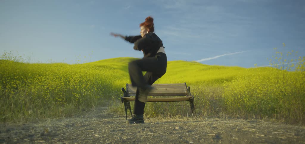 A woman with her red hair in a bun and wearing a black jacket and pants is dancing with a fluid expressive style next to a wooden bench in a wide field of yellow flowers under a blue sky