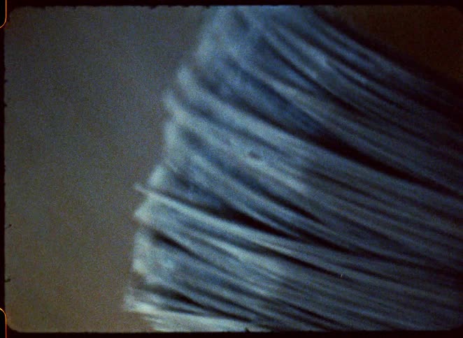 A brush brushes a surface