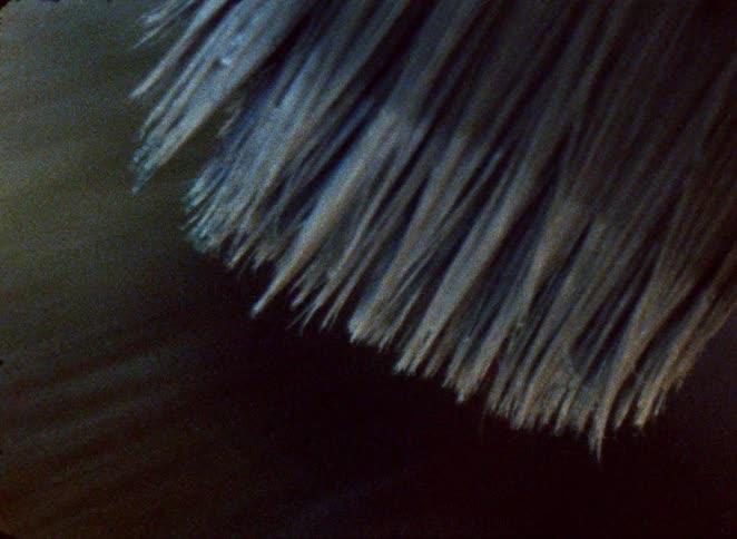 Closeup bristles of a brush sweep across a smooth surface