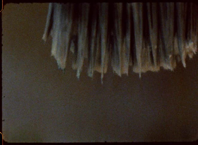 A magnified paintbrush picks up paint and swipes over paper