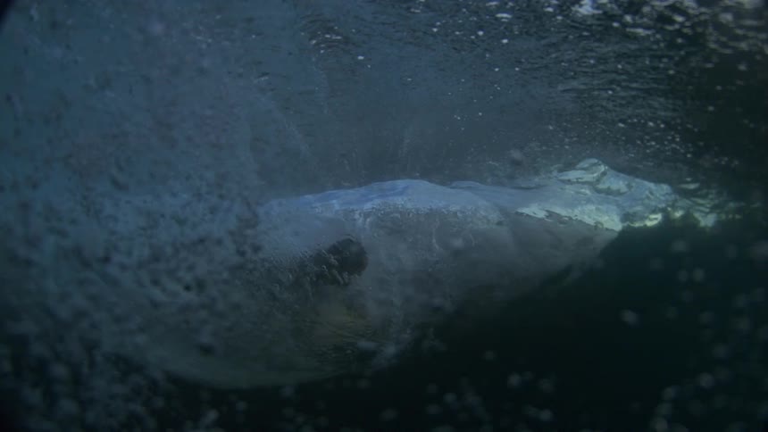 Surfer rides a wave near a cliff