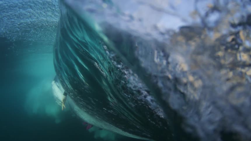 A low angle view shows a surfer on a white surfboard with a dark trim gliding to the left as a large wave crests above him creating a burst of white foam and bubbles as the camera gets submerged
