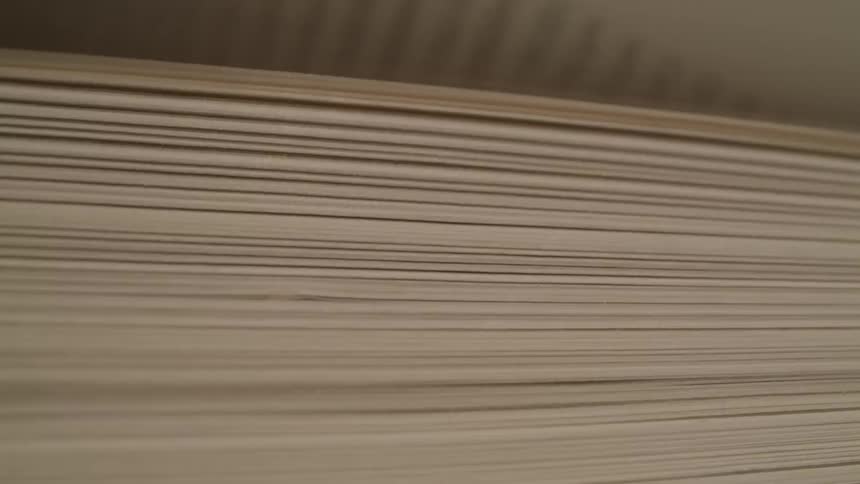 Pages of a book seen in closeup while being flipped
